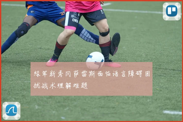 绿军新秀冈萨雷斯面临语言障碍困扰战术理解难题