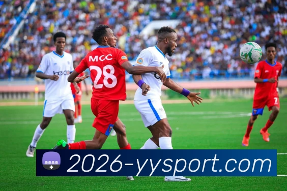 App Interface Preview