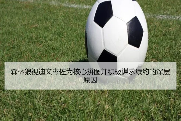 森林狼视迪文岑佐为核心拼图并积极谋求续约的深层原因